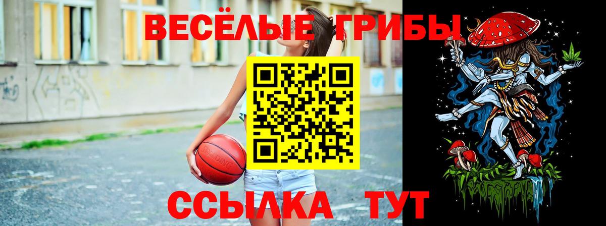 Псилоцибиновые грибы Cubensis  Вход с VPN  Краснотурьинск  Псилоцибиновые грибы прущие грибы 